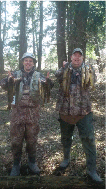 brown-trout