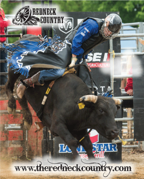 bull-riding